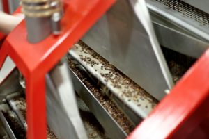 Maison Duplanteur chocolatier Grasse - Le Broyage