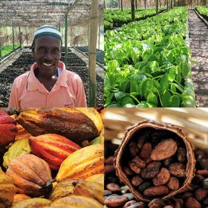 Manufacture Duplanteur