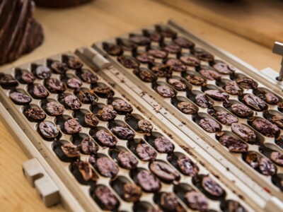 Maison Duplanteur chocolatier Grasse - Guillotine