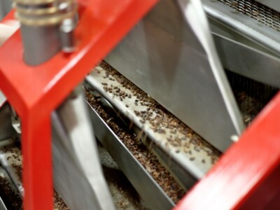 Maison Duplanteur chocolatier Grasse - Le Broyage